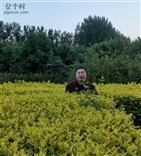 山东省,临沂市,莒南县,洙边镇,扶兰官庄村
