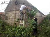 山东省,威海市,荣成市,斥山街道,北庙山村