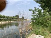 山东省,潍坊市,高密市,朝阳街道,李家疃村