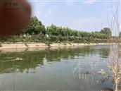 山东省,潍坊市,高密市,朝阳街道,李家疃村