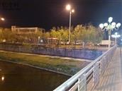 山东省,烟台市,龙口市,东莱街道,林家庄村