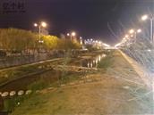 山东省,烟台市,龙口市,东莱街道,林家庄村