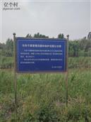 后王村 常家镇马东区节水灌溉组图！