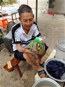 凤山村 中国传统的端午节，凤山村村长个人出资为村子里80岁以上的老人及孤寡送去端午节美好的祝福。祝愿老人们健康长寿，福如东海长流水，寿比南山不老松。