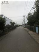 郑家坨村 村中街道