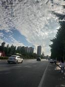 河南省,新乡市,获嘉县,徐营镇,铁官滩村