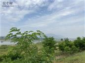 陕西省,汉中市,西乡县,城关镇,二里村