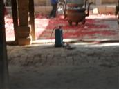 山西省,长治市,壶关县,桥上乡,东脑村