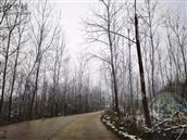 四川省,资阳市,简阳市,清风乡,万角村