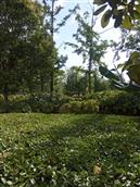 安徽省,阜阳市,太和县,城关镇,桥西社区