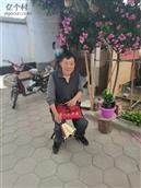 山西省,长治市,壶关县,龙泉镇,董家坡村