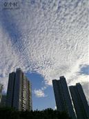 广西,南宁市,武鸣区,城厢镇,联兴村