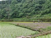 湖南省,湘西州,凤凰县,两林乡,岔河村