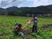 四川省,广安市,邻水县,长安乡,大堰村