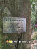 福建省,南平市,建瓯市,顺阳乡,际下村