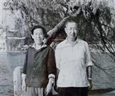 板西村 板西村老村民王金铎、高秀楼南下以后一直在湖南省株洲市工作，两老已经离世四十多年了，他们的后人仍然在湖南。