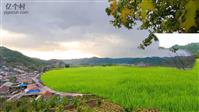中寨村 清原县 重点发展的 美丽乡村 中寨子的稻田美景