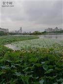 广西,南宁市,武鸣区,城厢镇,联兴村