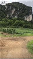 广西,南宁市,武鸣区,城厢镇,联兴村