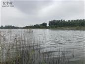 山东省,潍坊市,高密市,朝阳街道,李家疃村