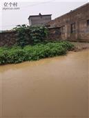 早塘村 村里淹了