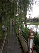 泉益村 河滨公园