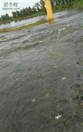 甘河村 这是下游漕河徐水段的照片，今年下游有水了