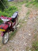 新福村 新福村通往北方的有一条路，十几年了，一直没有铺上水泥路，他出的游子回来骑摩托车都上不了坡