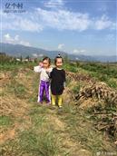 陕西省,汉中市,西乡县,城关镇,二里村