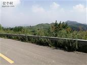 山西省,长治市,壶关县,桥上乡,东脑村