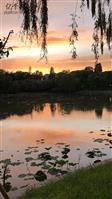 东黄垡村 紫竹院公园的美景，请家乡父老姐妹欣赏一下。