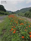 吉林省,白山市,抚松县,北岗镇,蒲春河村