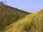 山西省,忻州市,原平市,东社镇,沟里村