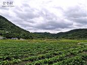 福建省,福州市,长乐区,玉田镇,长青村