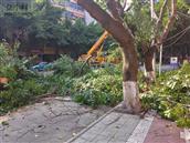 四川省,资阳市,简阳市,清风乡,万角村