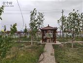 新疆,塔城地区,和布克赛尔县,夏孜盖乡,巴音托洛盖村