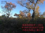 辽宁省,朝阳市,龙城区,半拉山街道,半拉山村