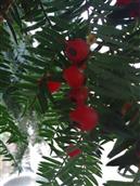 山西省,长治市,壶关县,桥上乡,东脑村