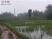 四川省,资阳市,简阳市,清风乡,万角村