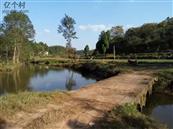 四川省,资阳市,简阳市,清风乡,万角村