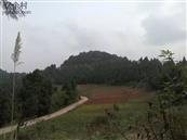 四川省,资阳市,简阳市,清风乡,万角村