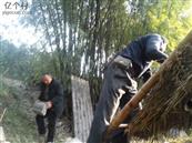 四川省,资阳市,简阳市,清风乡,万角村