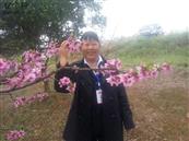 四川省,资阳市,简阳市,清风乡,万角村