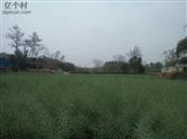 四川省,资阳市,简阳市,清风乡,万角村