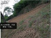 湖南省,衡阳市,衡阳县,曲兰镇,形塘村