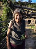 山西省,忻州市,原平市,东社镇,沟里村