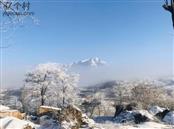 薛河村 雪景