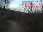 辽宁省,朝阳市,龙城区,半拉山街道,半拉山村