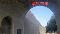 河南省,三门峡市,陕州区,大营镇,大营村