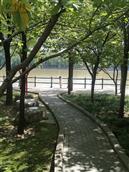 河南省,三门峡市,灵宝市,焦村镇,沟东村